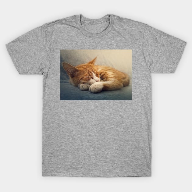 ginger cat resting on a sofa T-Shirt by psychoshadow